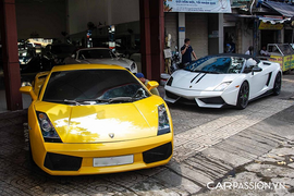 Bộ đôi "bò già" Lamborghini Gallardo khoe dáng ở Sài Gòn