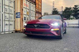 Đập thùng Ford Mustang 2021 cơ bắp, mui cứng tại Việt Nam