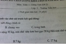 Dân mạng “bó tay” với đề toán lớp 2