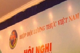 “Tổng GĐ trăng hoa” trở thành chủ tịch Hiệp hội Lương thực VN