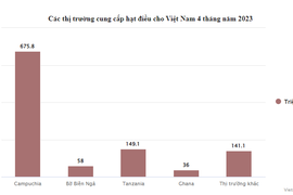 Việt Nam chi hơn 1 tỷ USD trong 4 tháng để nhập khẩu hạt điều