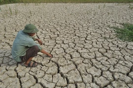 El-Nino xuất hiện, thời tiết Việt Nam có gì bất thường?