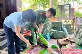 Hà Nội: Phát hiện gần 2 tấn lườn ngỗng, đùi vịt không rõ nguồn gốc