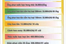 Loạn giá pháo hoa Z121 cận Tết, Bộ Công Thương nói gì?