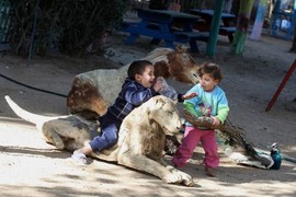 “Rùng mình” trước cảnh lấy xác thú khô làm đồ chơi ở Gaza