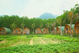 Farmstay: Tiềm năng... nhưng nhiều vướng mắc