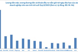 15 đại gia ôm 18 tỷ USD, ai là 'vua tiền mặt'?