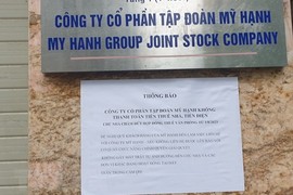 Tập đoàn Mỹ Hạnh vẽ dự án sâm Ngọc Linh huy động vốn thế nào?