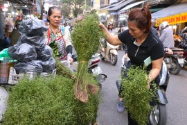 Mùi già xuống phố sớm gọi Tết về