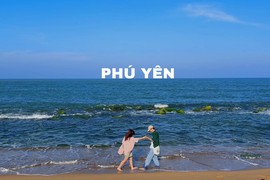 Đi chữa lành tâm hồn ở vùng đất ‘hoa vàng trên cỏ xanh’