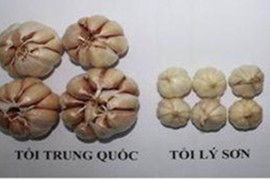 7 loại thực phẩm Trung Quốc nhất định phải tránh xa