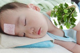 Với nắm lá diếp cá, mẹ Việt thi nhau chia sẻ cách trị bệnh cho trẻ