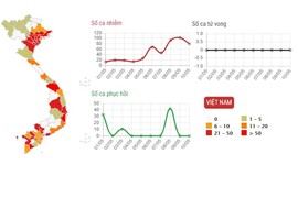 COVID-19 hoành hành, tỉnh nào vẫn kiên cố trước vi rút chết người? 