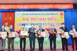 Liên hiệp Hội tỉnh Gia Lai: Đoàn kết, sáng tạo, đổi mới và phát triển