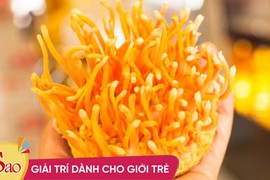 F0 đua nhau bồi bổ đông trùng hạ thảo, 4 đối tượng phải tránh xa!