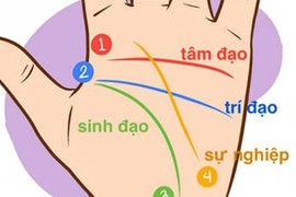 3 đường chỉ tay cực phẩm tượng trưng cho Phúc - Lộc - Thọ