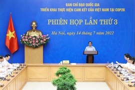 Việt Nam tích cực thực hiện đạt mức phát thải ròng bằng “0“