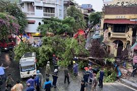 Hà Nội: Tập trung khẩn cấp ứng phó bão số 3