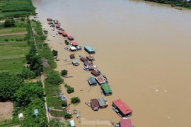 Thủy điện Hòa Bình xả lũ, cuộc sống xóm vạn chài bị đảo lộn