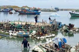 Vũng neo đậu tàu thuyền Lý Sơn bị bè hút cát lấn chiếm