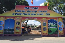 Hải Dương: Sở chấp thuận, thành phố “mập mờ”, doanh nghiệp kêu cứu 