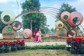 Khách du xuân nói gì về lễ hội xuân 3 miền ở Ecopark 