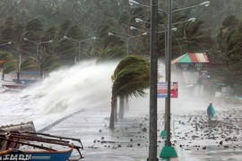 Quảng Ninh, Hải Phòng: Cấm biển, sẵn sàng di dân ứng phó bão Mangkhut