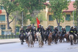 Tướng Tô Lâm: Sẽ sử dụng ngựa trong nước như Bắc Hà trong Kỵ binh