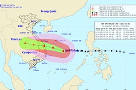 Bão số 9 giật cấp 17, hướng vào Đà Nẵng-Phú Yên: Người dân hạn chế ra đường