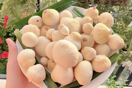  Món quê thành đặc sản được săn lùng, 300.000 đồng/kg cũng khó mua