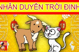 Video: 5 cặp con giáp này lấy nhau, nhất định sinh quý tử đầu lòng