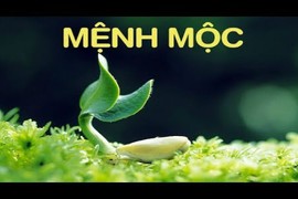 Video: Người mệnh Mộc, phải luôn bỏ vật này trong túi để hút tài lộc