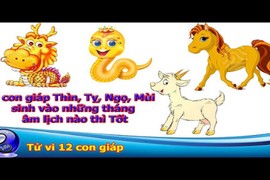 Video: 4 con giáp Thìn, Tỵ, Ngọ, Mùi sinh vào những tháng âm lịch nào thì tốt nhất