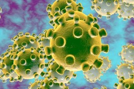 Nga sát Trung Quốc tại sao không lây nhiễm virus corona, câu trả lời gây choáng