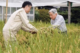 Nhật hoàng Akihito: “Gần gũi với dân trong từng nếp nghĩ”