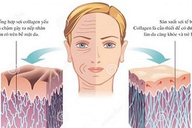 Bổ sung đúng cách, collagen sẽ là chìa khóa cho tuổi thanh xuân