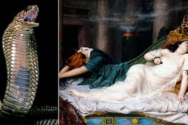 Giải mã cực sốc loài rắn độc cắn chết Nữ hoàng Cleopatra