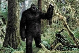 Cực sốc: Quái vật Bigfoot là hậu duệ của người ngoài hành tinh?