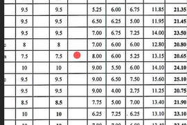 Học bạ 10 điểm nhưng khi đi thi chỉ 1,75 điểm, nhà trường nghĩ sao?