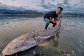 Người đàn ông bắt được “khủng long sống” khổng lồ trên sông Canada