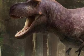 Lý do rùng rợn khiến “tay” của bạo chúa T-rex hầu như biến mất