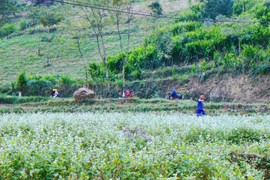 Chuyến phượt Hà Giang tự túc 4 ngày 4 đêm bằng xe máy