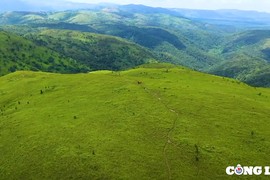 Thảo nguyên Pal sol (Đắk Lắk), điểm đến hấp dẫn với người đam mê trekking