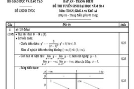 Đáp án chính thức của Bộ GD&ĐT các khối A, A1, V