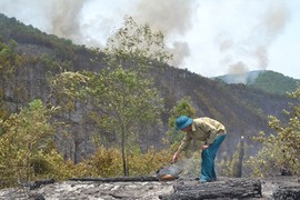 Rừng Thanh Hóa cháy ngùn ngụt dưới trời nắng 40 độ