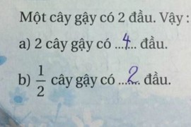 Bài toán tiểu học "1/2 cây gậy có mấy đầu" gây tranh cãi