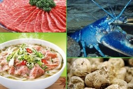 Bát phở giá 100 triệu gây sốc có gì độc?