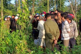 Đang săn chim, hoảng loạn khi thấy thai phụ chết treo cổ trong vườn tiêu