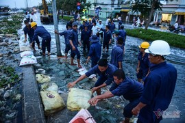 Hàng trăm người Sài Gòn 'oằn lưng' gia cố bờ bao vỡ do triều cường