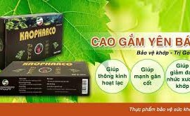 Quảng cáo láo Cao Gắm Yên Bái, Đông dược Khương Viên dính phạt nặng 